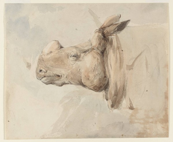 Head of a horse by Edward Angelo Goodall